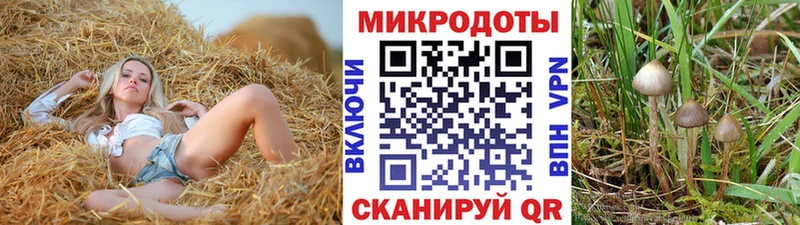 кракен ONION  Иркутск  Псилоцибиновые грибы GOLDEN TEACHER 
